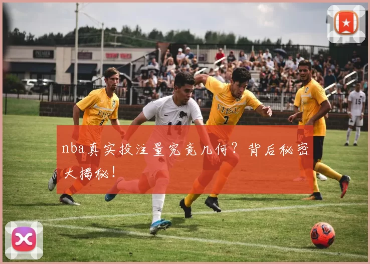 nba真实投注量究竟几何?背后秘密大揭秘!