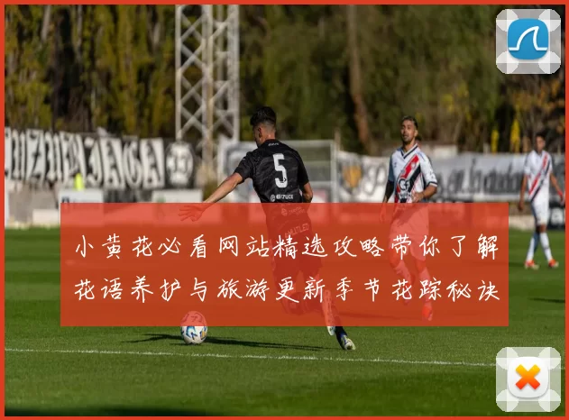 小黄花必看网站精选攻略带你了解花语养护与旅游更新季节花踪秘诀