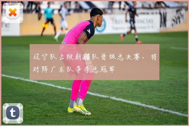 辽宁队击败新疆队晋级总决赛，将对阵广东队争夺总冠军