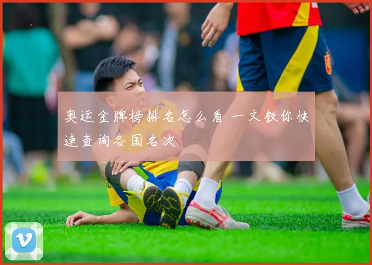 奥运金牌榜排名怎么看 一文教你快速查询各国名次