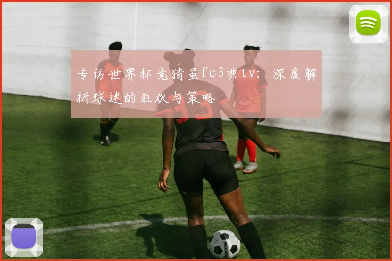 专访世界杯竞猜虽fc3典tv：深度解析球迷的狂欢与策略