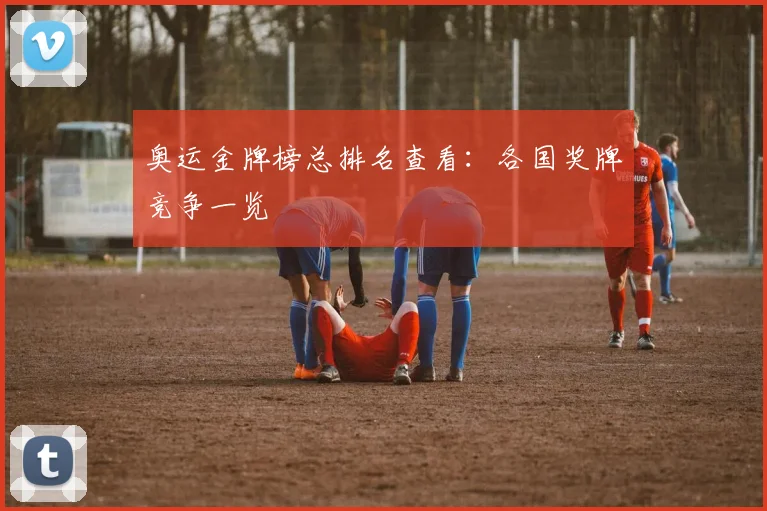 奥运金牌榜总排名查看：各国奖牌竞争一览