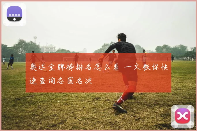 奥运金牌榜排名怎么看 一文教你快速查询各国名次